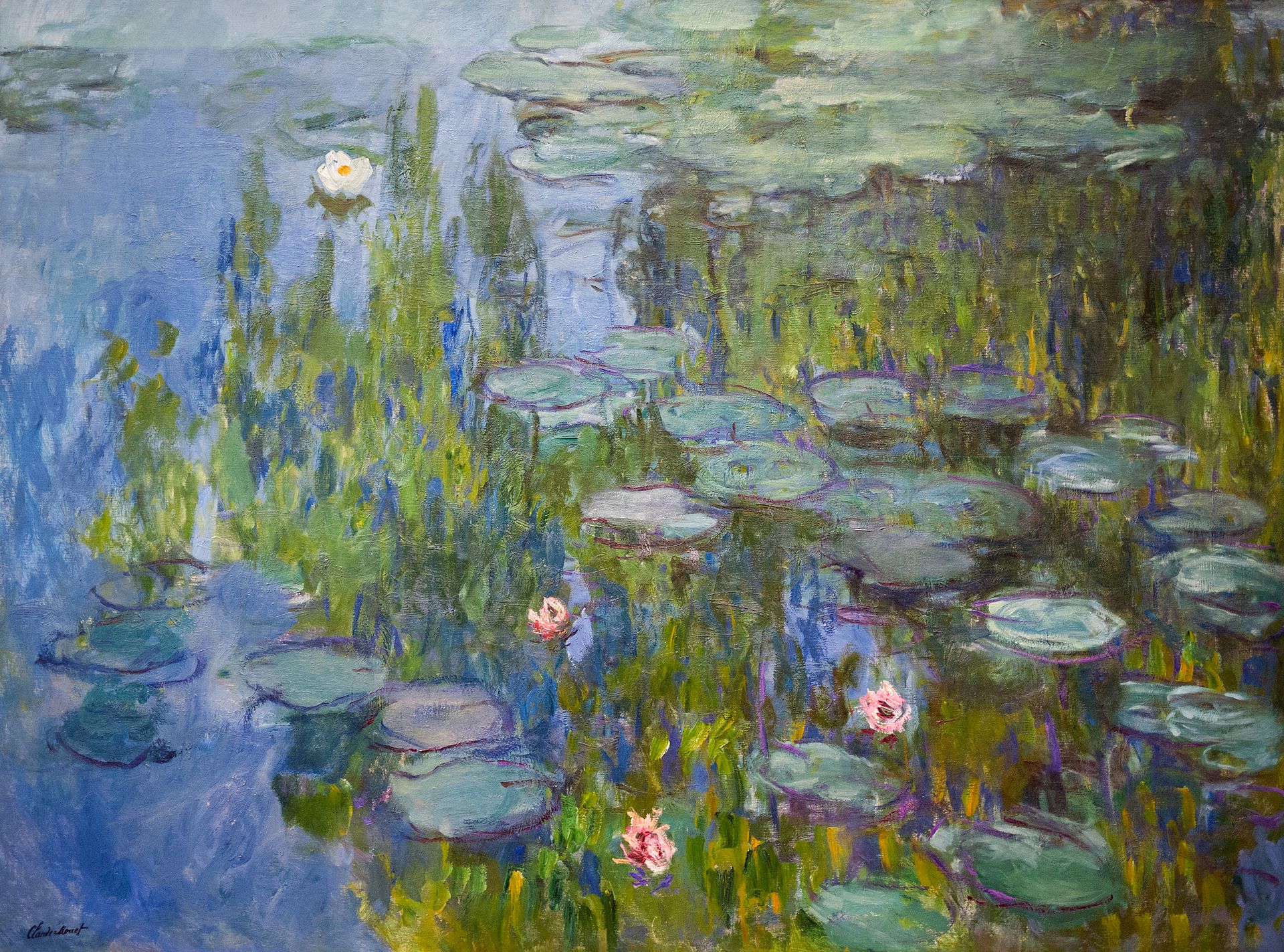 Claude Monet's painting of water lilies.